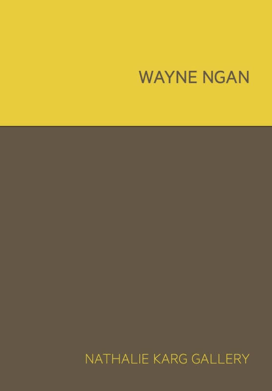 Wayne Ngan, WAYNE NGAN