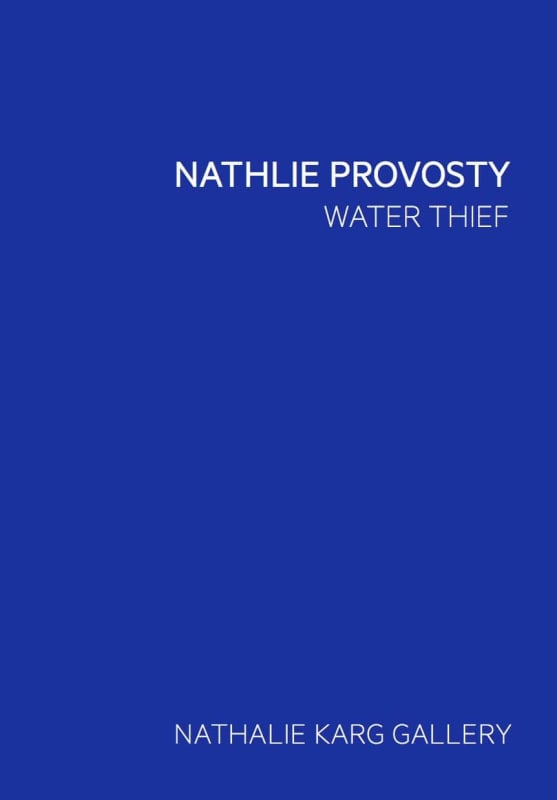 Water Thief, NATHLIE PROVOSTY