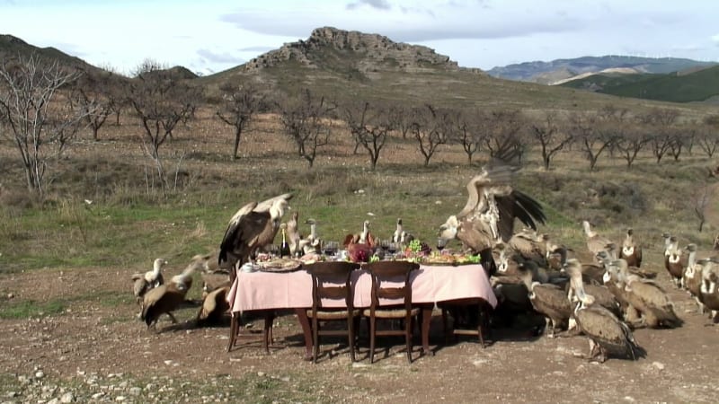 Greta Alfaro: A Screening of three films, Online