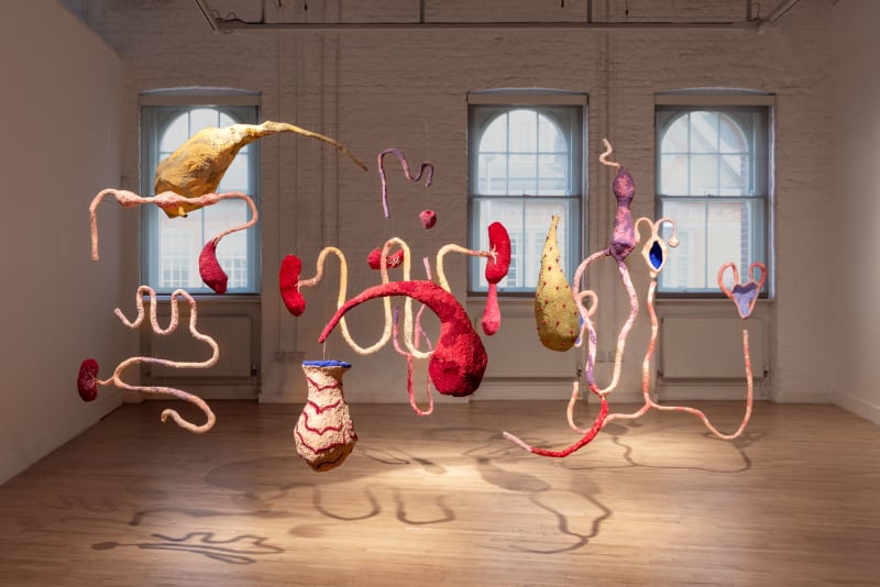 Blanca Gracia, Tornapiel