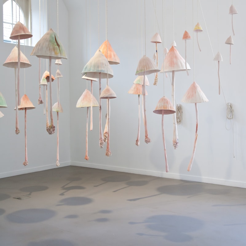 Tuille House Museum and Art Gallery Acquires work by Serena Korda