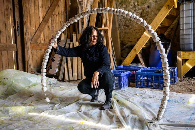 Caroline Desnoëttes