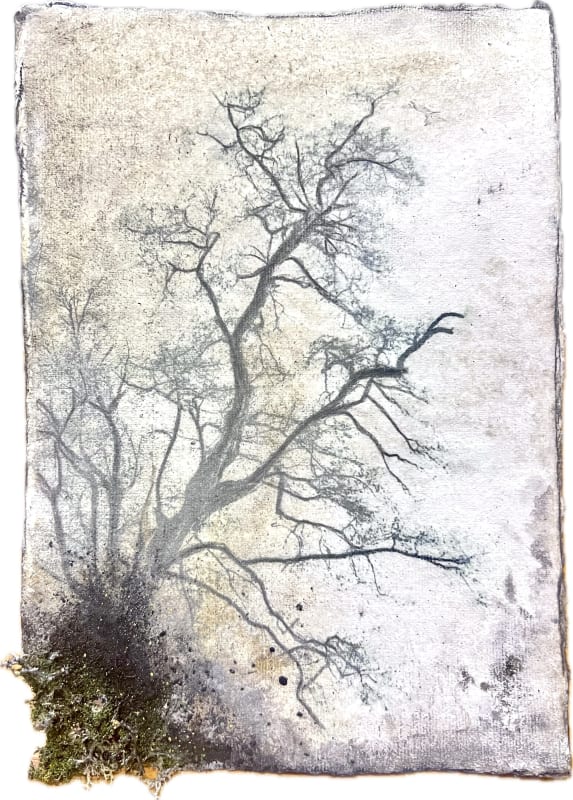 Me, Myself and More, The North Wall Arts Centre, Oxford