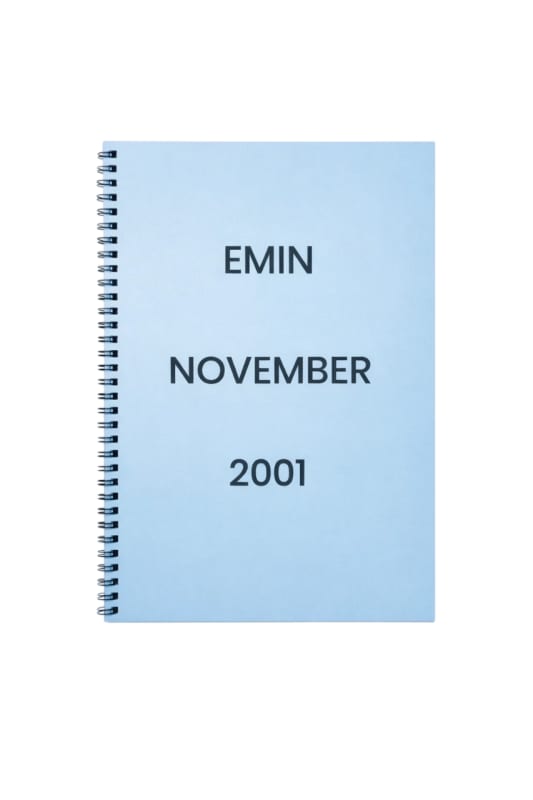 Emin: November 2001, Baldwin Books