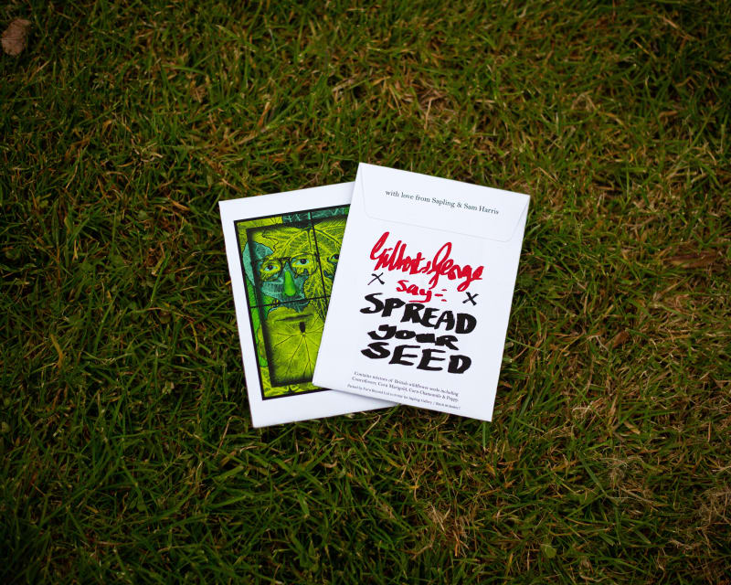 Gilbert & George say Spread your Seed, Limited Edition of British Wildflower Seed Packets designed by Gilbert & George