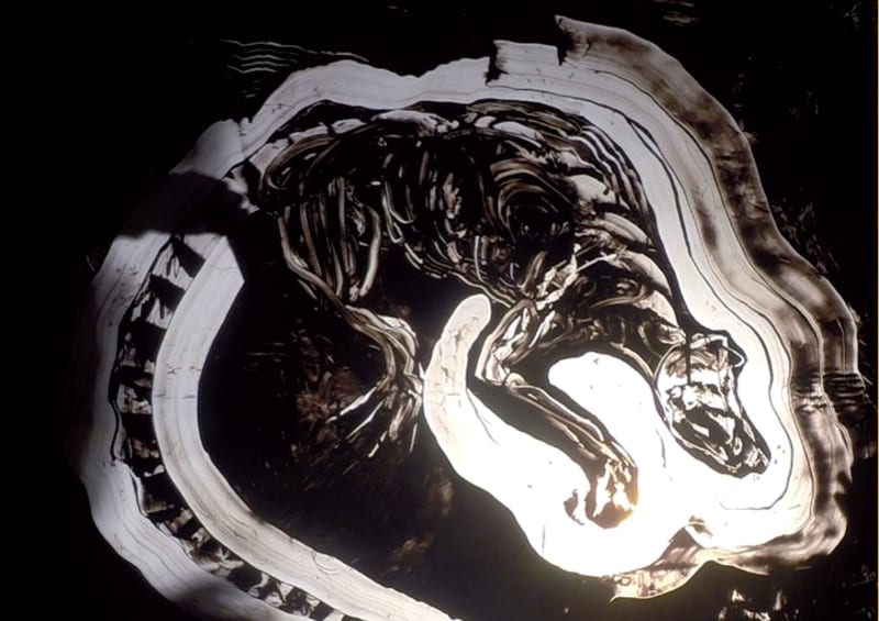 EX TENEBRIS LUX, Avec JOD et Goodbye Ivan