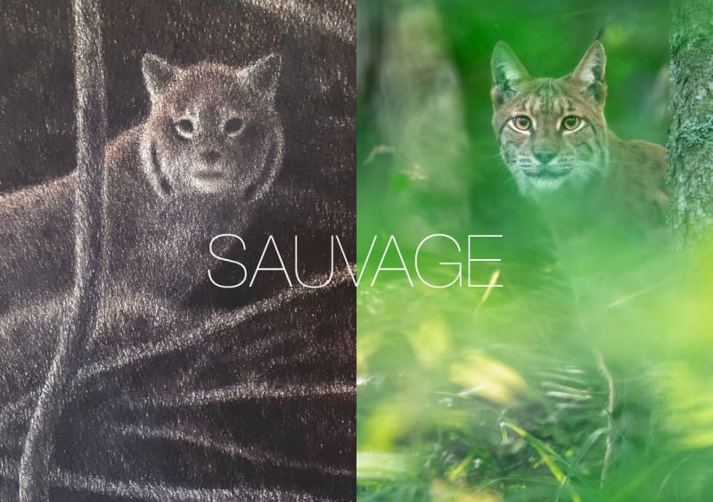 SAUVAGE, Jacques Rime | Neil Villard