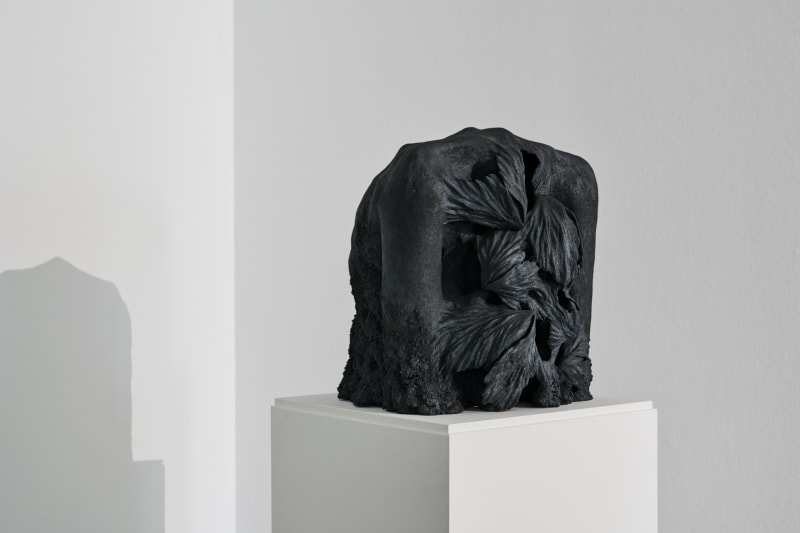 Lisa Wallert | Nocturnal wanderers