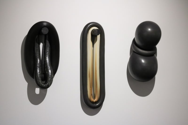 Mårten Medbo | Taxonomy