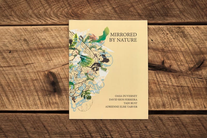 Mirrored by Nature , David Rios Ferreira