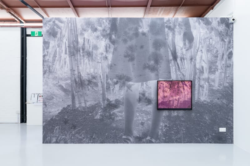 Wei Leng Tay: View From This Side