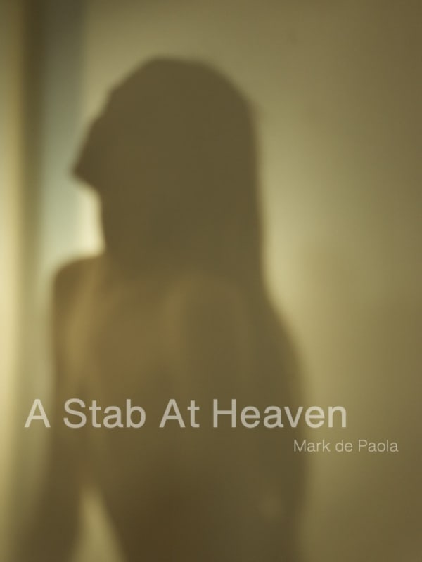 A Stab At Heaven Book