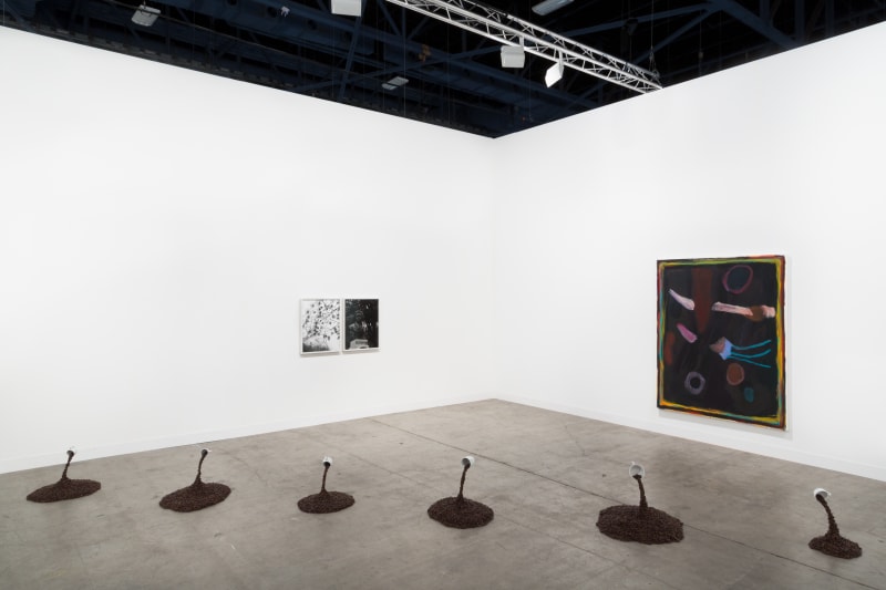 Art Basel Miami Beach, Gallery Section