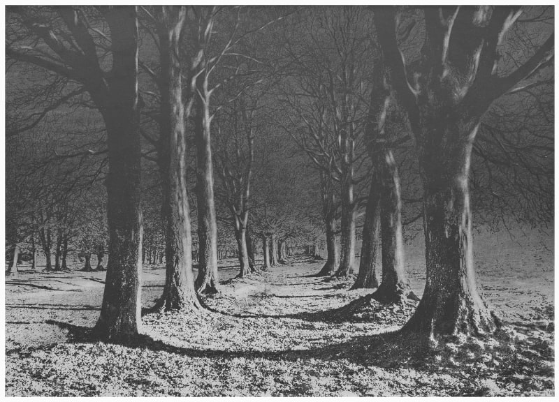 Danja Akulin, Dmitry Bulnygin, Anne Marie Finné, Lorraine Defleur | DreamLand