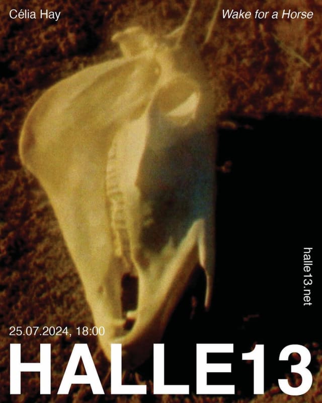 Célia Hay - Wake for a Horse