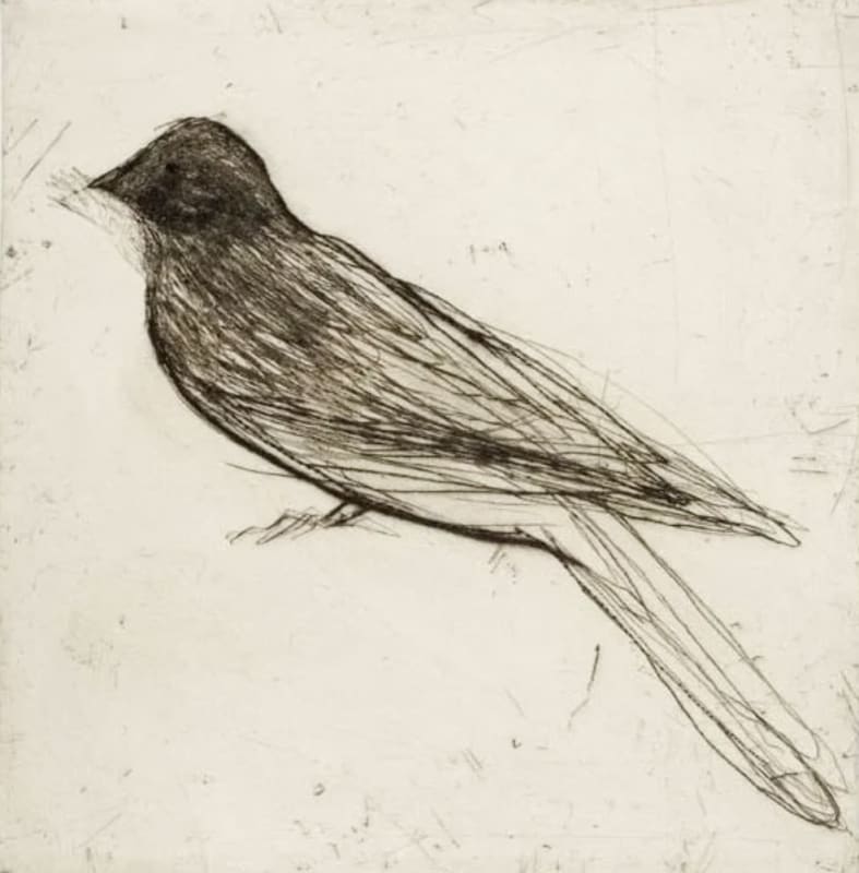 Geofrey ed. 30, drypoint, 16 x 15 1/4 in / 41 x 39 cm