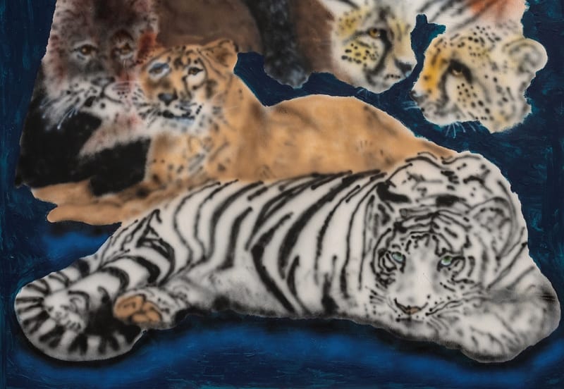 Ricardo Passaporte Car wash Animals Exhibition