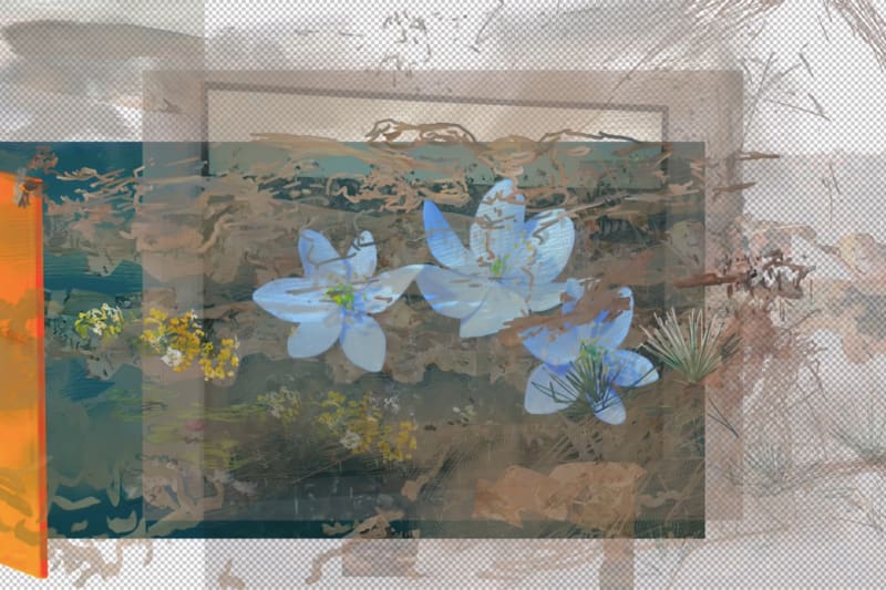 Petra Cortright for Shift Key