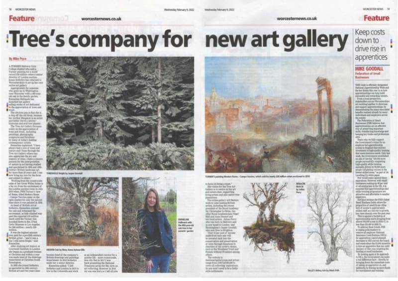 Worcester News: The Tree Art Gallery Article