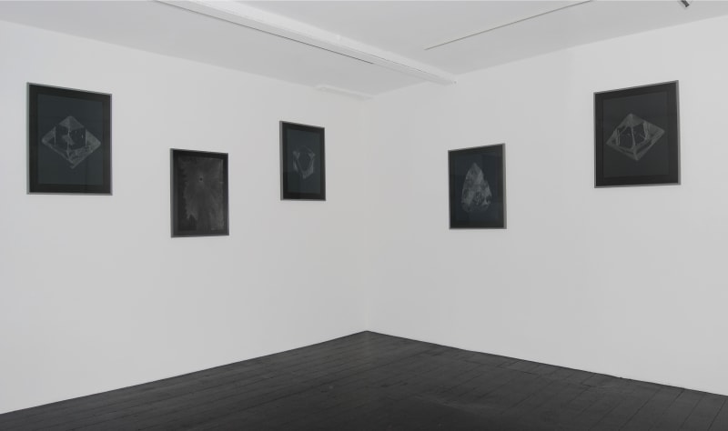 Facets of Reason, Rick Buckley