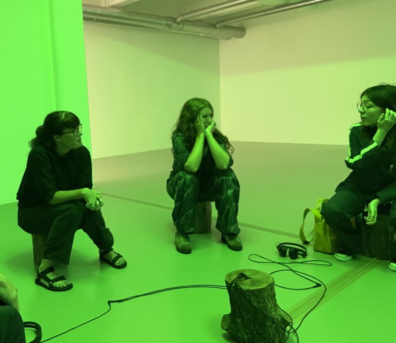 Conversation: Hanna Ljungh & Martina Hoogland Ivanow, Med ögon känsliga för grönt