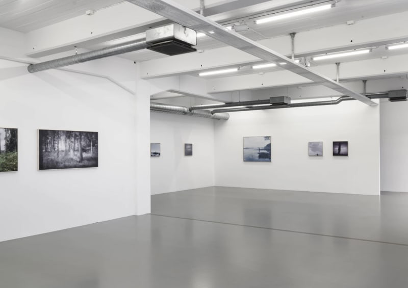 Joanne Grüne-Yanoff | Gravity