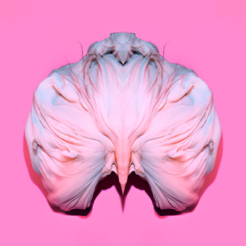 Susanne Fagerlund at Galleri 54/GIBCA Extended