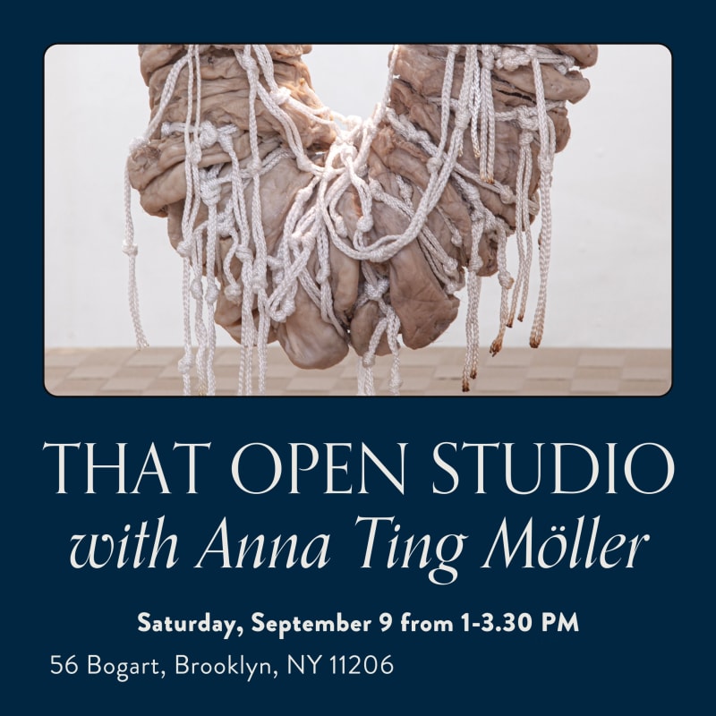 Anna-Ting Möller | Open Studio