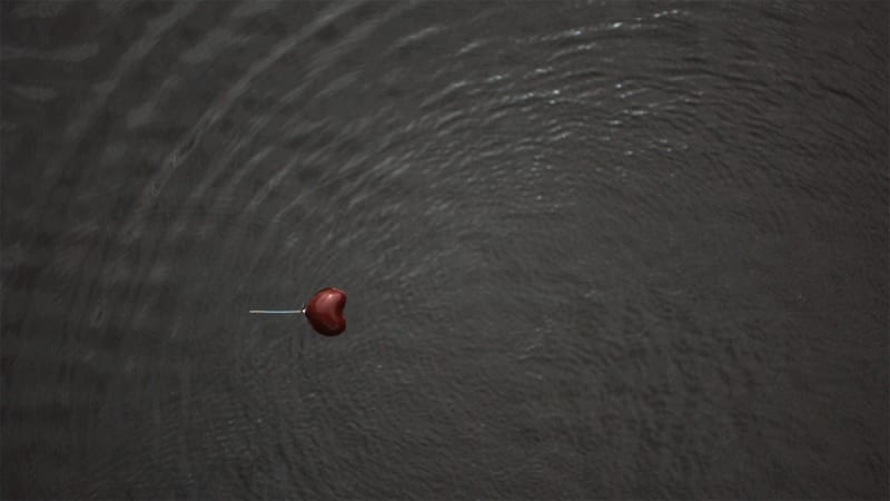 ATTRACTION, 2009 — Represa del Sisga, Bogotá, Colombia