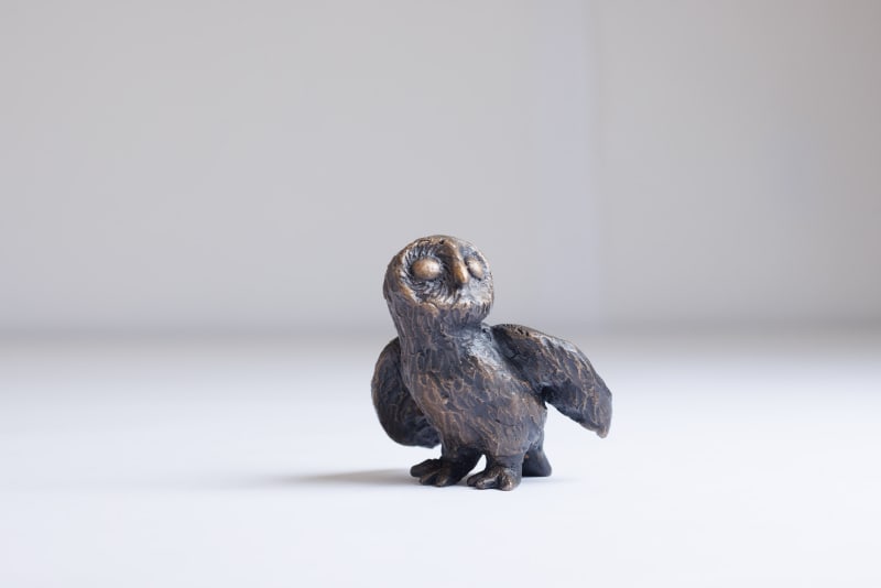 Little Wild Owl (Owl 5), From the Parliament of Owls