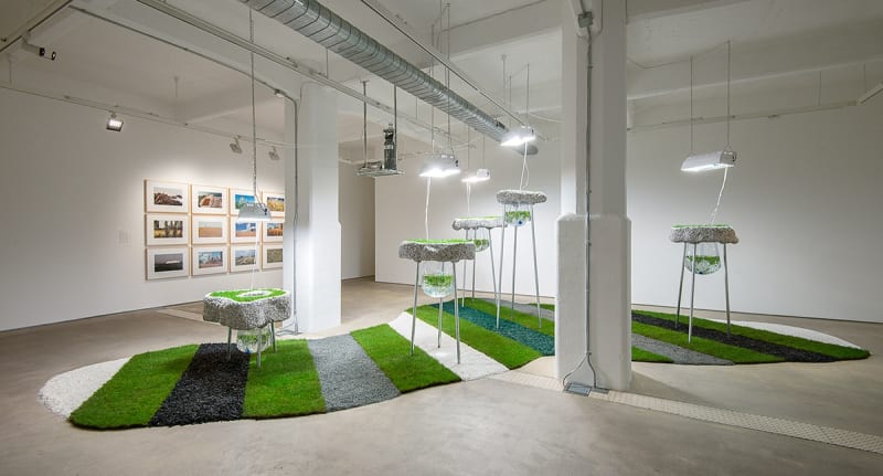 Installation view of Rachael Champion, Agnes Denes, and Rachel Pimm at Hales London