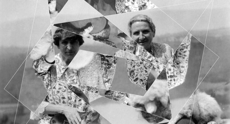 Detail of Constellations (Alice B. Toklas and Gertrude Stein with Pepe and Basket), 2018