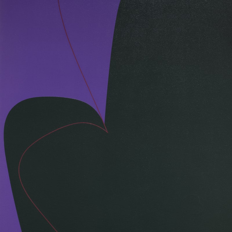 Virginia Jaramillo, Infraction IV, 1970