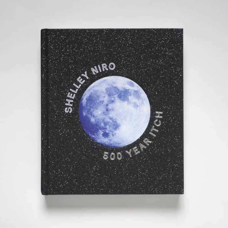 Shelley Niro, Shelley Niro: 500 Year Itch