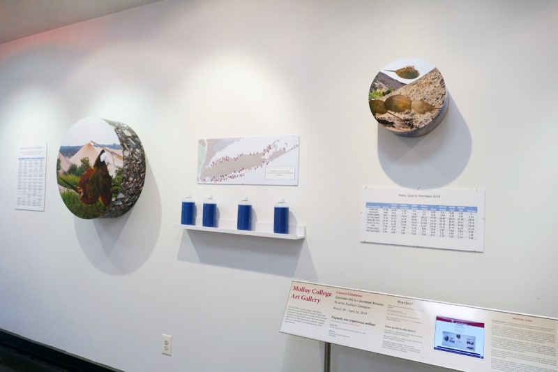 Installation view of Rachael Champion, 2019, Interstate 495 is a Terminal Moraine, Molloy College