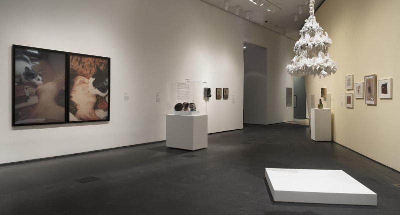 Installation view of Carolee Schneemann in Out of Place: A Feminist Look at the Collection at Brooklyn Museum, 2020