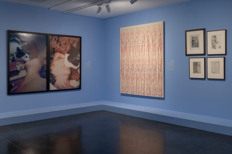 Installation view of It’s Pablo-matic: Picasso According to Hannah Gadsby, Brooklyn Museum, 2 June - 24 September 2023