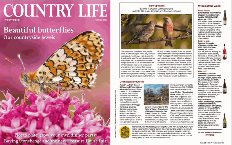 Renoir & Pissarro in Country Life Magazine