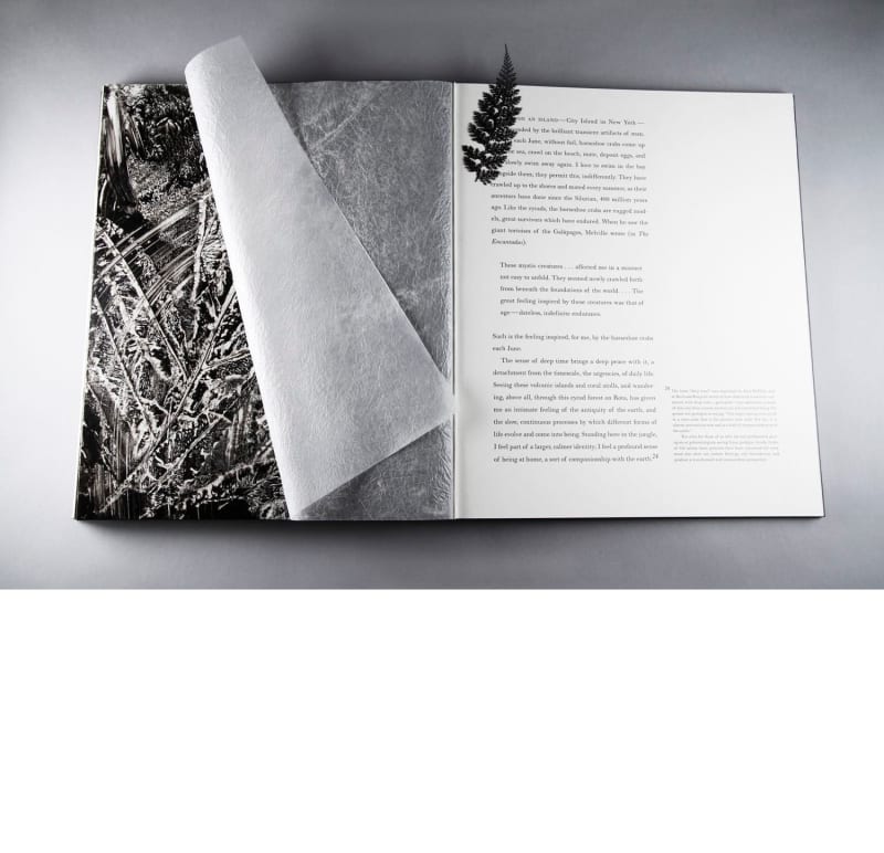 "The Island of Rota," November 2010, signed and numbered limited edition artist's book with text by Oliver Sacks, cliche-verres by Abelardo Morell, design by Ted Muehling, Published by the Library Council of The Museum of Modern Art, Ed. 82/135.