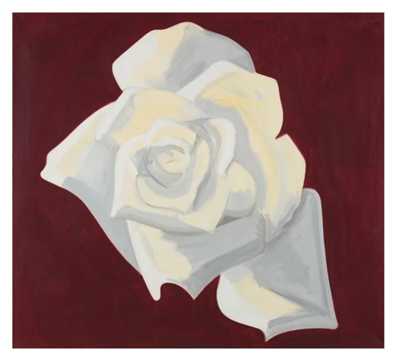 A larger painting of a white rose shown from above against a burgundy background.