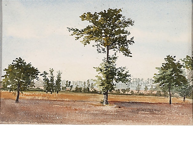 A painting of an airy but green landscape, featuring a central tree.