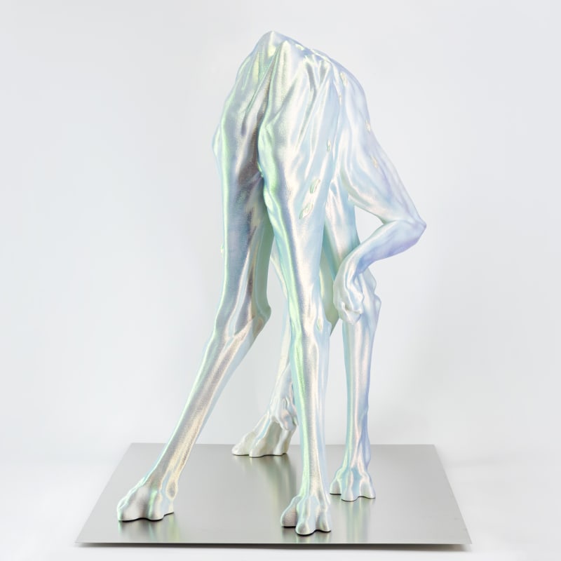 Andrea Samory