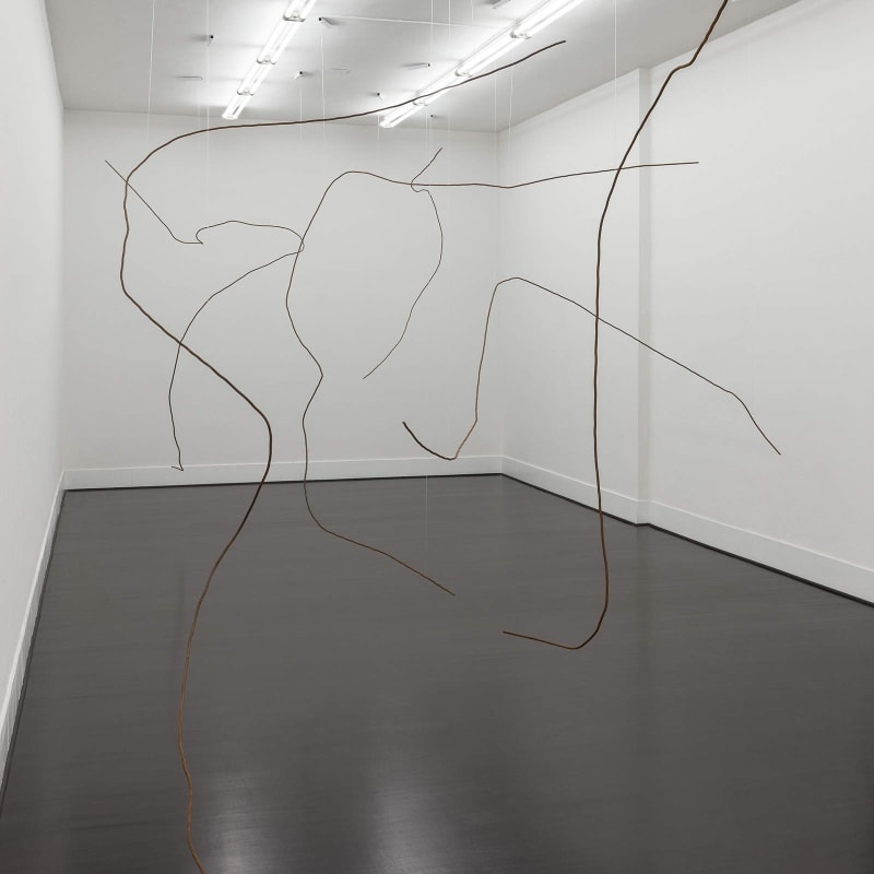 Diango Hernandez. Hurricanes, SOLO SHOW