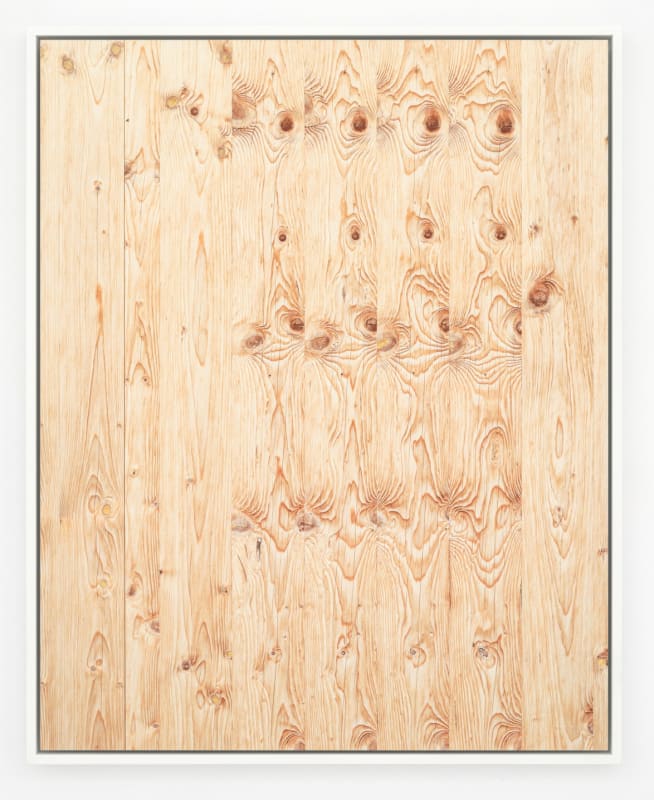 Misha de Ridder, resilience