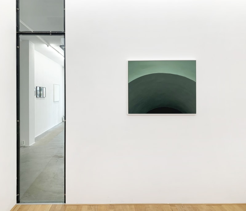 Johannesma, Pao & de Ridder, CONCEAL / REVEAL