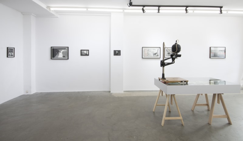 Rens Horn, Harvesting Star Light