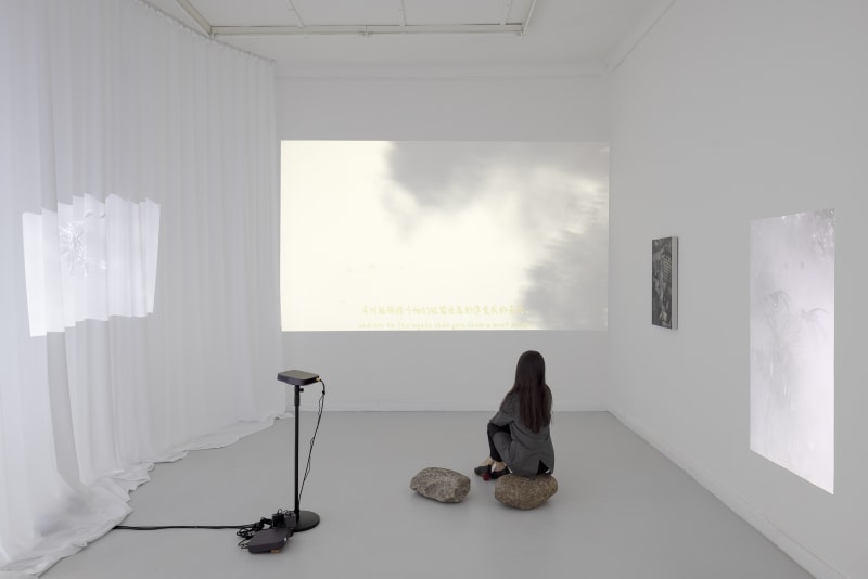 Photo by Timo Ohler, courtesy of the artist and Hua International, Exhibition Designed by Krista Xueying Yu.