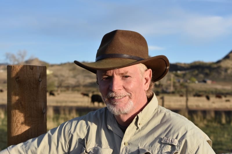 Dan Young