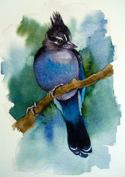 Realistic Wild Birds, Young Adult