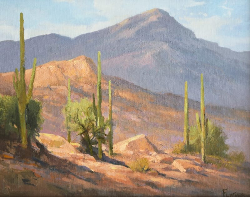 Arizona’s Desert Designs, Colors, and Scenic Vistas, David Flitner | Local | Oil